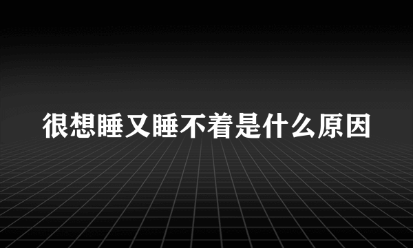 很想睡又睡不着是什么原因
