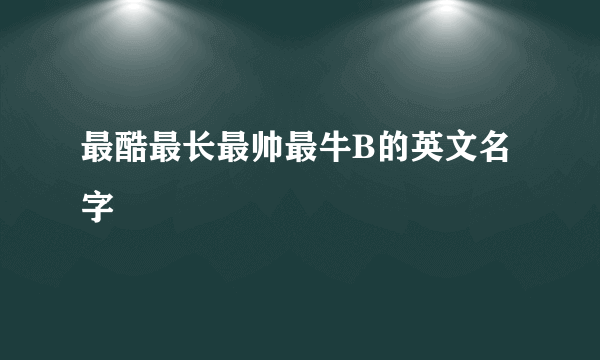 最酷最长最帅最牛B的英文名字