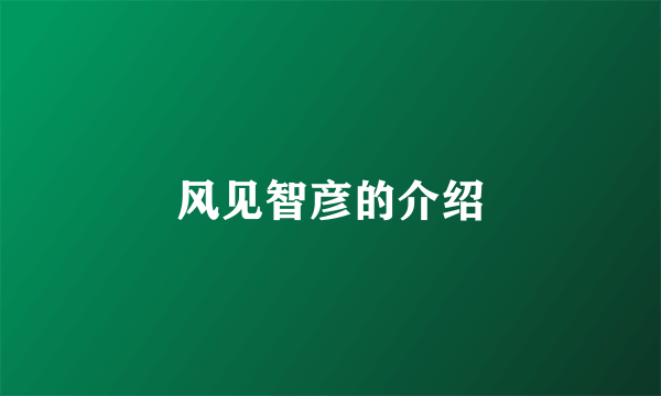 风见智彦的介绍