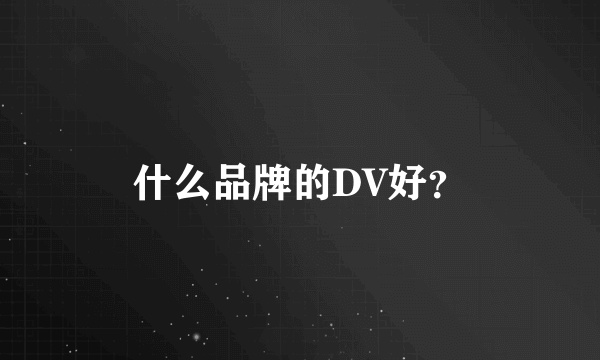 什么品牌的DV好？
