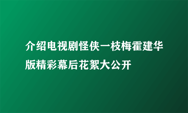 介绍电视剧怪侠一枝梅霍建华版精彩幕后花絮大公开