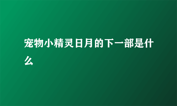 宠物小精灵日月的下一部是什么