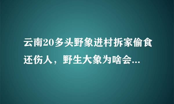 云南20多头野象进村拆家偷食还伤人，野生大象为啥会入侵人类生活地方？