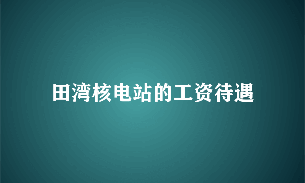 田湾核电站的工资待遇