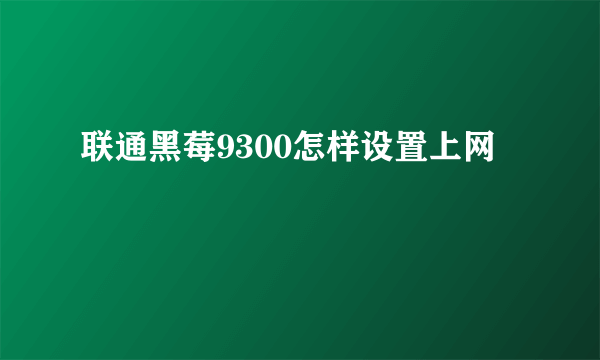 联通黑莓9300怎样设置上网