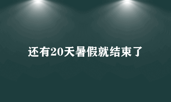还有20天暑假就结束了