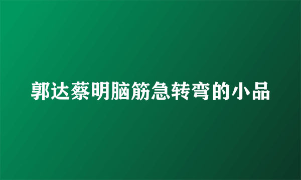 郭达蔡明脑筋急转弯的小品