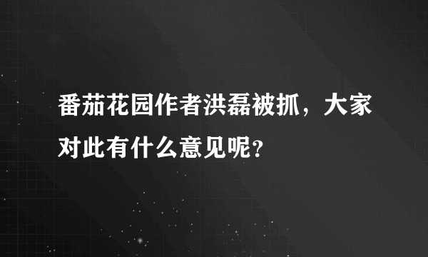 番茄花园作者洪磊被抓，大家对此有什么意见呢？