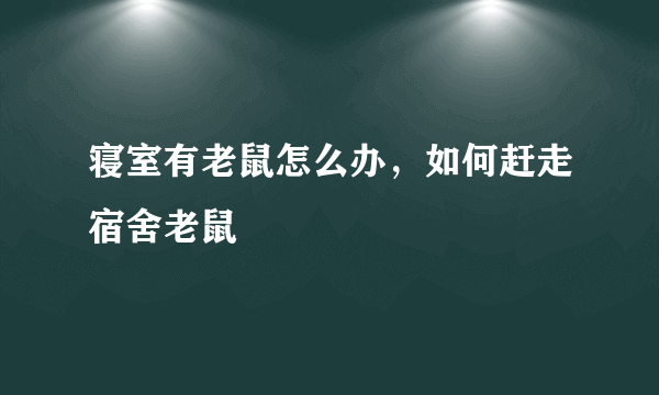 寝室有老鼠怎么办，如何赶走宿舍老鼠