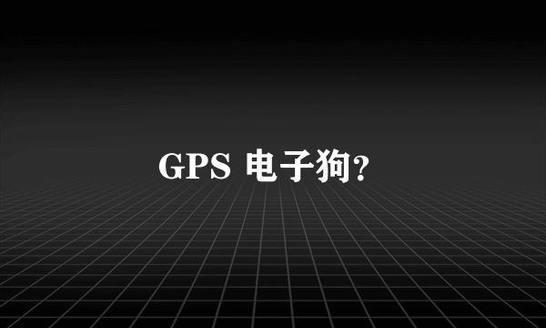 GPS 电子狗？