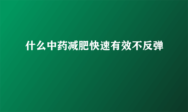 什么中药减肥快速有效不反弹
