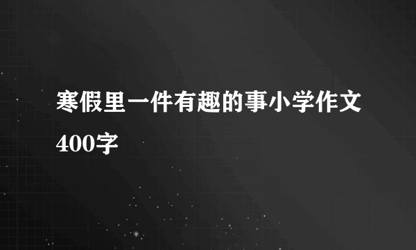 寒假里一件有趣的事小学作文400字