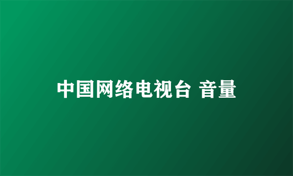 中国网络电视台 音量