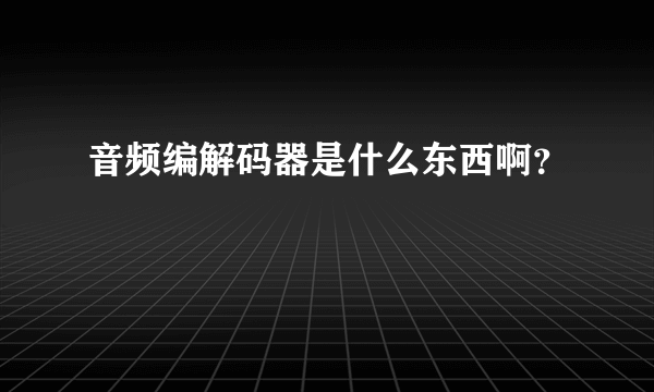 音频编解码器是什么东西啊？