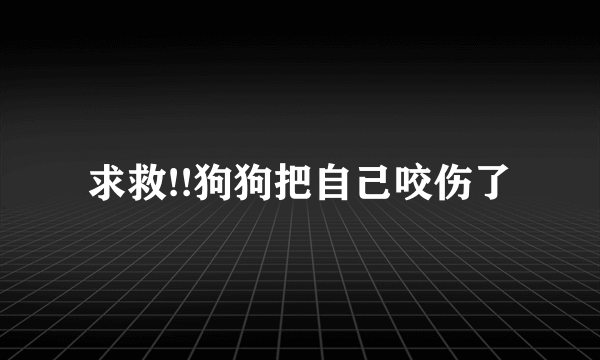 求救!!狗狗把自己咬伤了