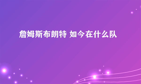 詹姆斯布朗特 如今在什么队