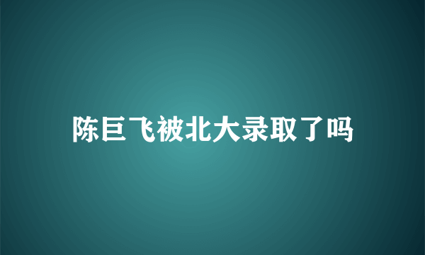 陈巨飞被北大录取了吗