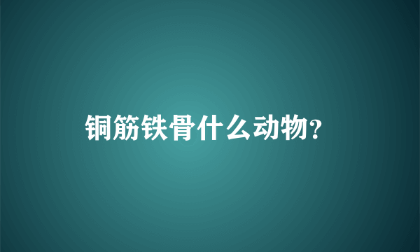 铜筋铁骨什么动物？