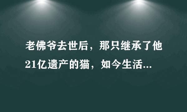 老佛爷去世后，那只继承了他21亿遗产的猫，如今生活得怎样？