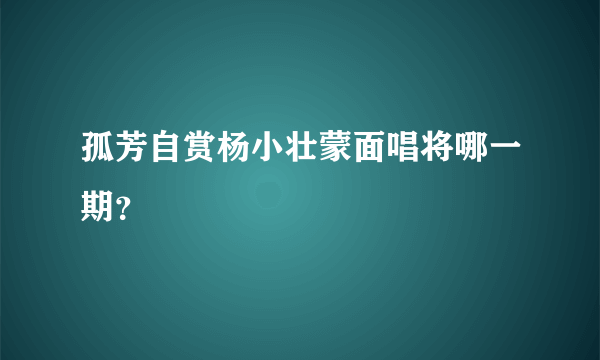 孤芳自赏杨小壮蒙面唱将哪一期？