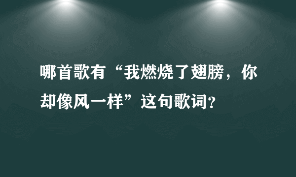 哪首歌有“我燃烧了翅膀，你却像风一样”这句歌词？