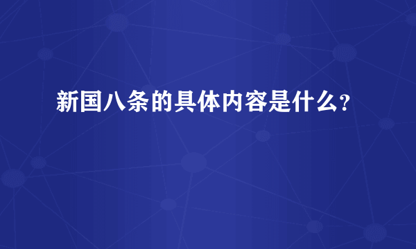 新国八条的具体内容是什么？