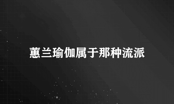 蕙兰瑜伽属于那种流派