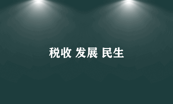税收 发展 民生
