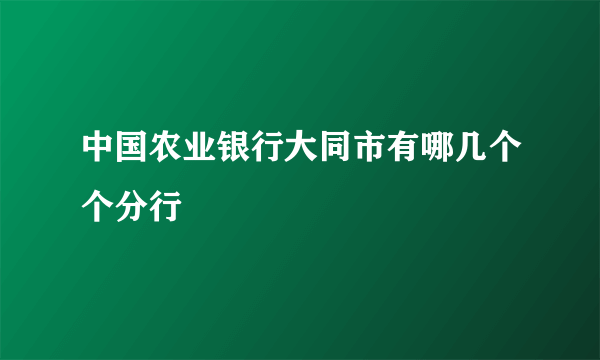 中国农业银行大同市有哪几个个分行