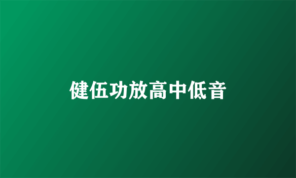 健伍功放高中低音