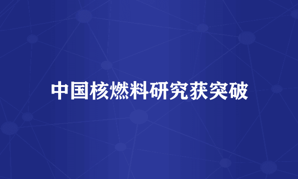 中国核燃料研究获突破