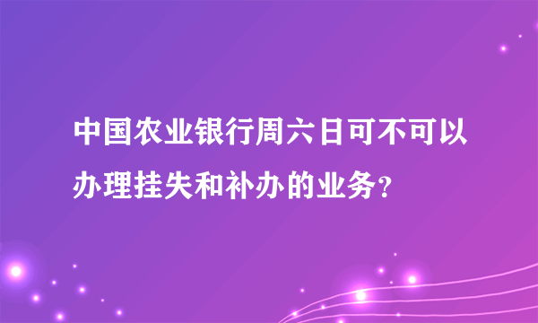 中国农业银行周六日可不可以办理挂失和补办的业务？