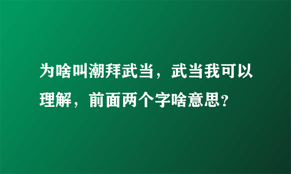 为啥叫潮拜武当，武当我可以理解，前面两个字啥意思？
