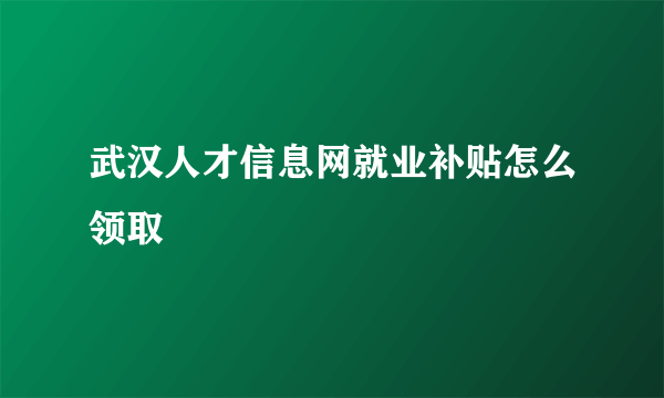 武汉人才信息网就业补贴怎么领取