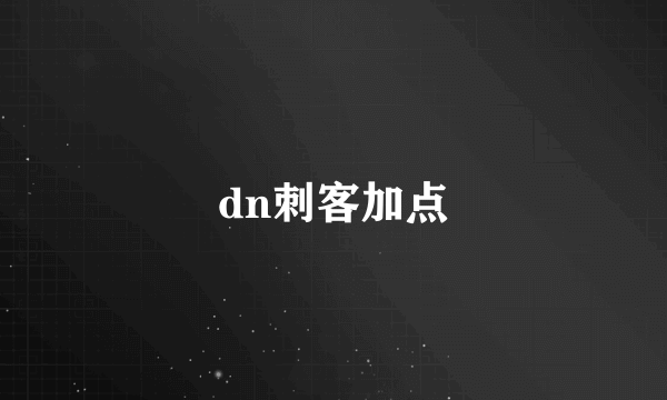 dn刺客加点