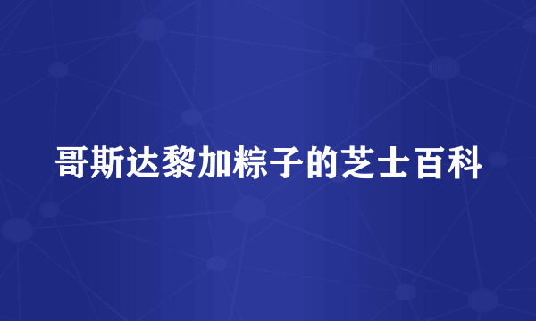哥斯达黎加粽子的芝士百科