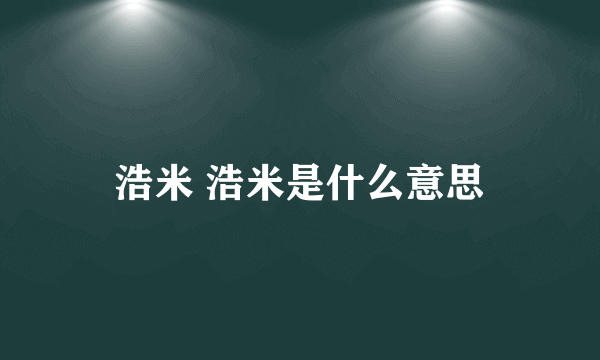 浩米 浩米是什么意思