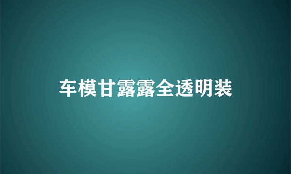 车模甘露露全透明装