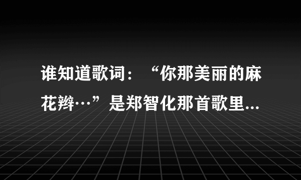 谁知道歌词：“你那美丽的麻花辫…”是郑智化那首歌里面的？歌曲名是什么？