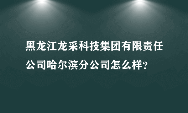 黑龙江龙采科技集团有限责任公司哈尔滨分公司怎么样？