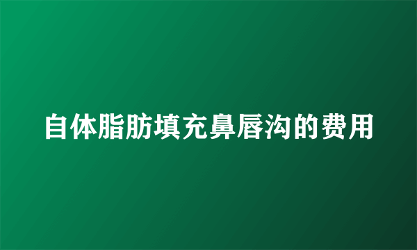 自体脂肪填充鼻唇沟的费用
