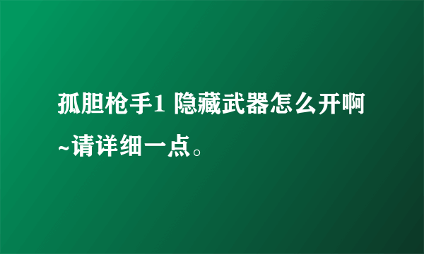 孤胆枪手1 隐藏武器怎么开啊~请详细一点。