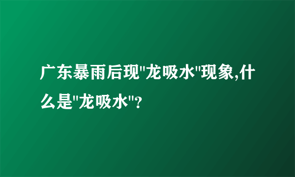 广东暴雨后现
