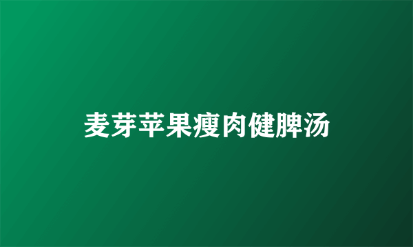 麦芽苹果瘦肉健脾汤