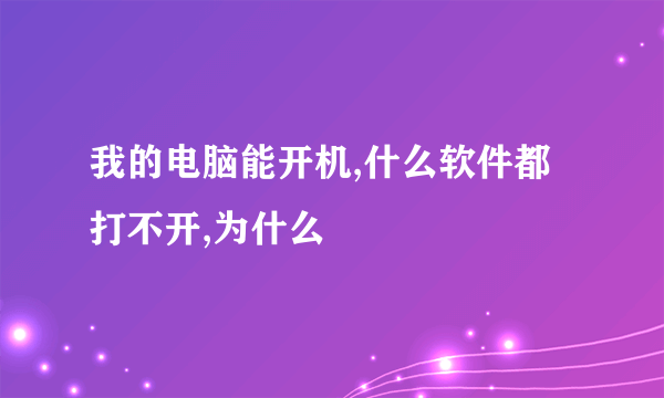 我的电脑能开机,什么软件都打不开,为什么
