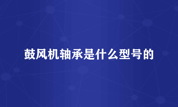 鼓风机轴承是什么型号的