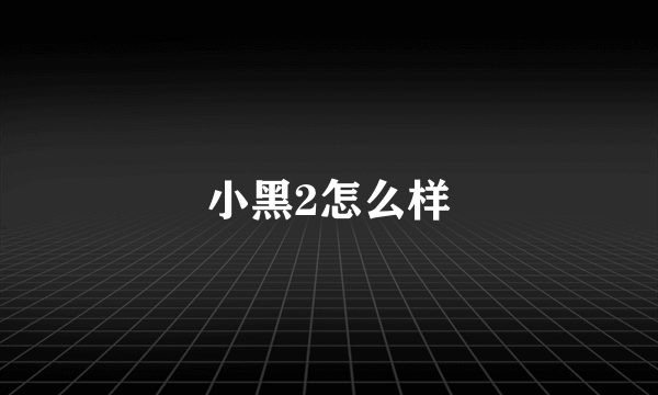 小黑2怎么样