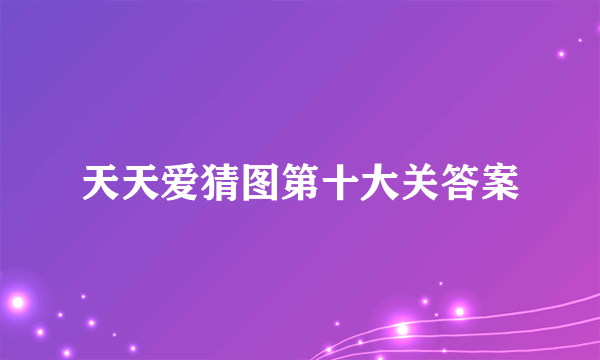 天天爱猜图第十大关答案