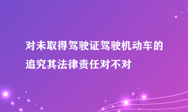 对未取得驾驶证驾驶机动车的追究其法律责任对不对