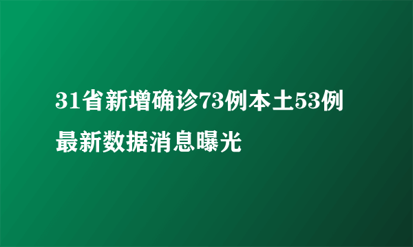 31省新增确诊73例本土53例 最新数据消息曝光